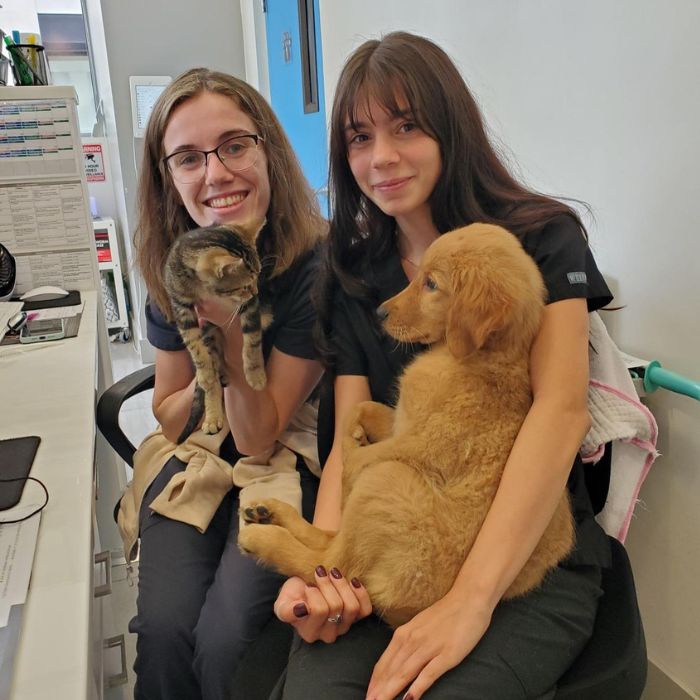 staff with pets