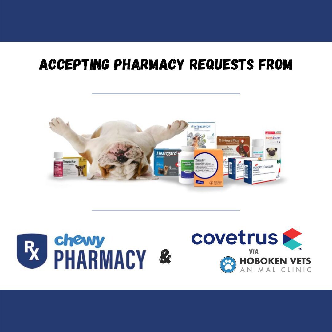 Pharmacy request