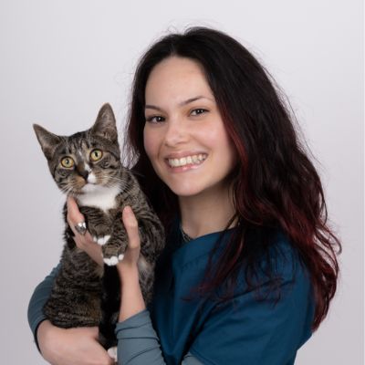Elisa