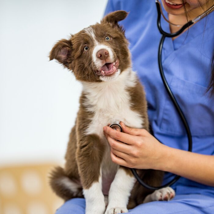 preventative care